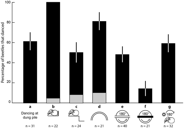 Figure 1. Percentage of beetles that danced 