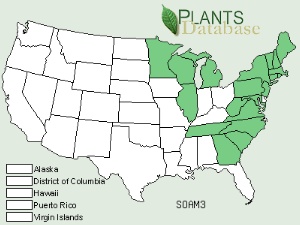American Mountain-ash Range Map