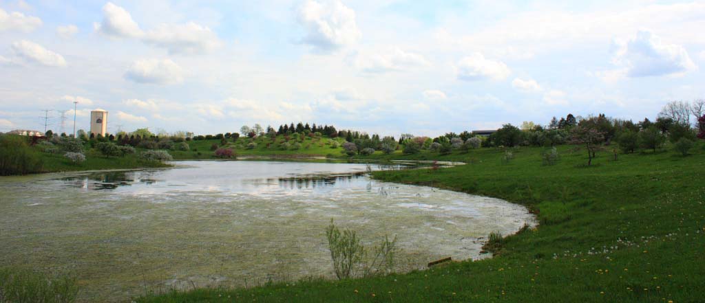 Crabapple Lake