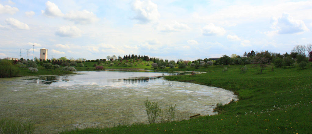Crabapple Lake