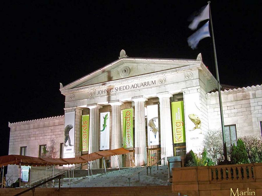 Shedd Aquarium Facade at Night