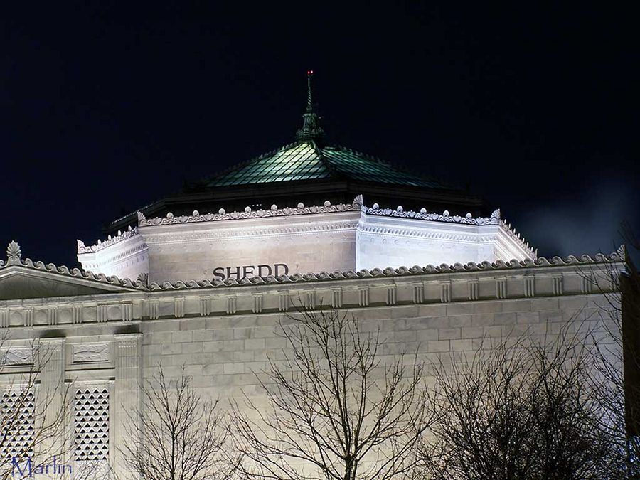 Shedd Aquarium Roofline Detail