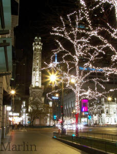 Chicago's Water Tower