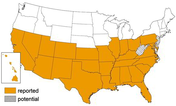 Kissing Bug range map