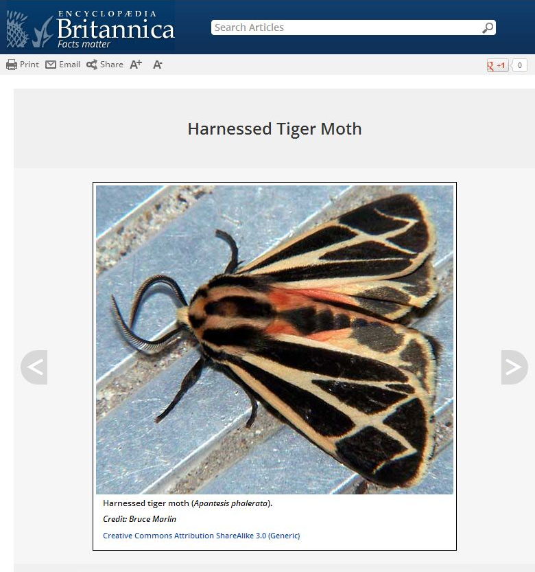 Encyclopedia Britannica article