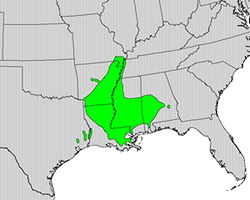 Nutall's oak range map