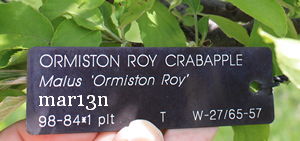 Ormiston Roy Crabapple accession tag