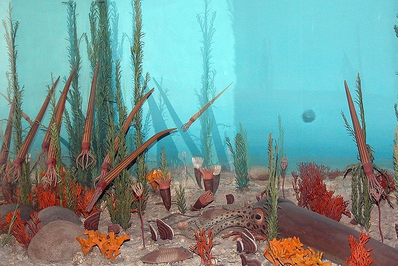 Ordovician Diorama