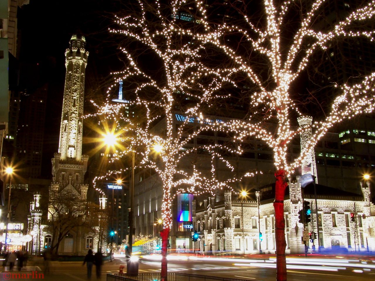 Chicago's Water Tower