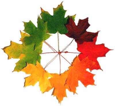 maple leaf logo png 400X400